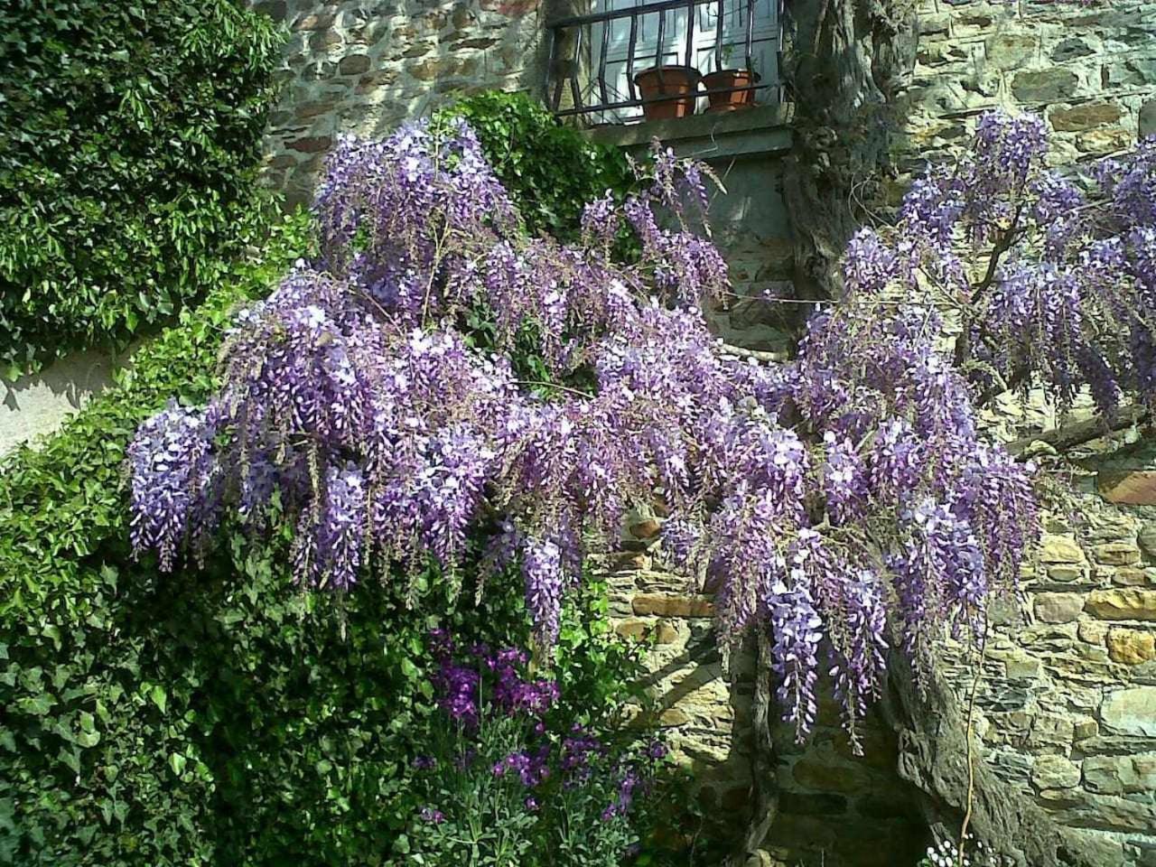 Casa Do Hiebra Alojamiento Rural Ribeira Sacra Castroncelos Bagian luar foto